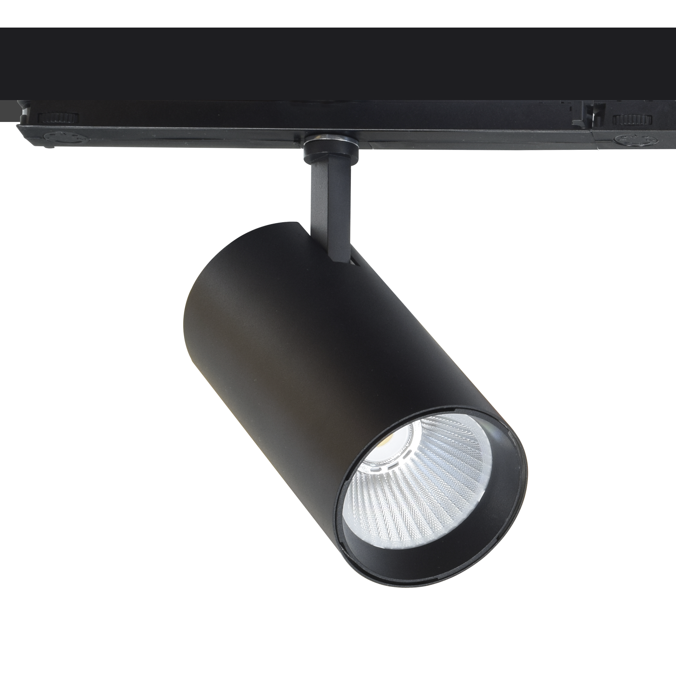 FASHIONLED